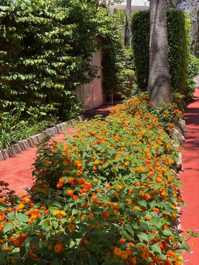 Marbella Real Golden Mile -Eaw Homes מראה חיצוני תמונה